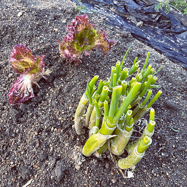 ayayayayaさんの部屋