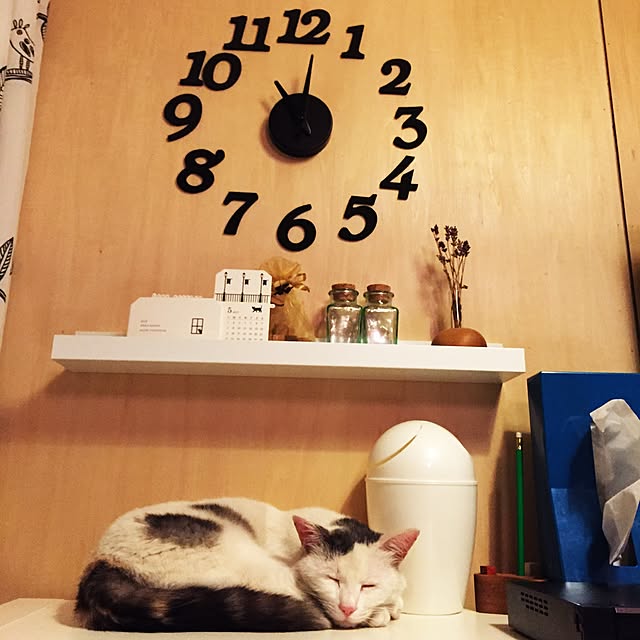 BIRDさんの実例写真