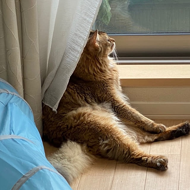 meさんの実例写真