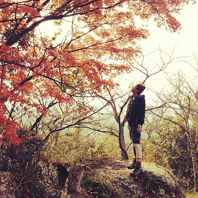 Mt.0344さんの実例写真