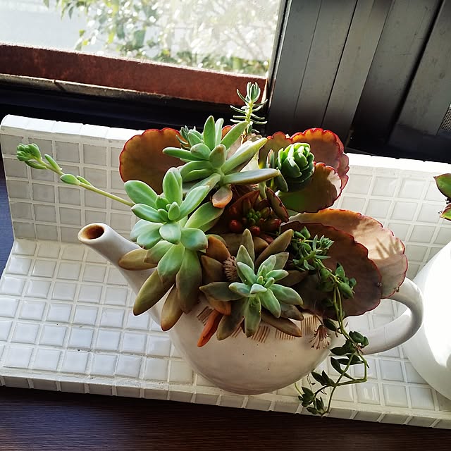Granadillaさんの実例写真