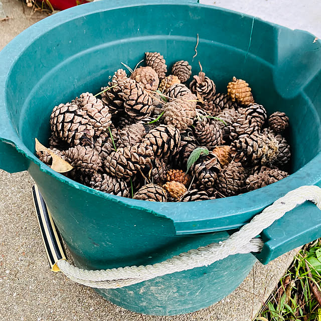 tomorinさんの部屋