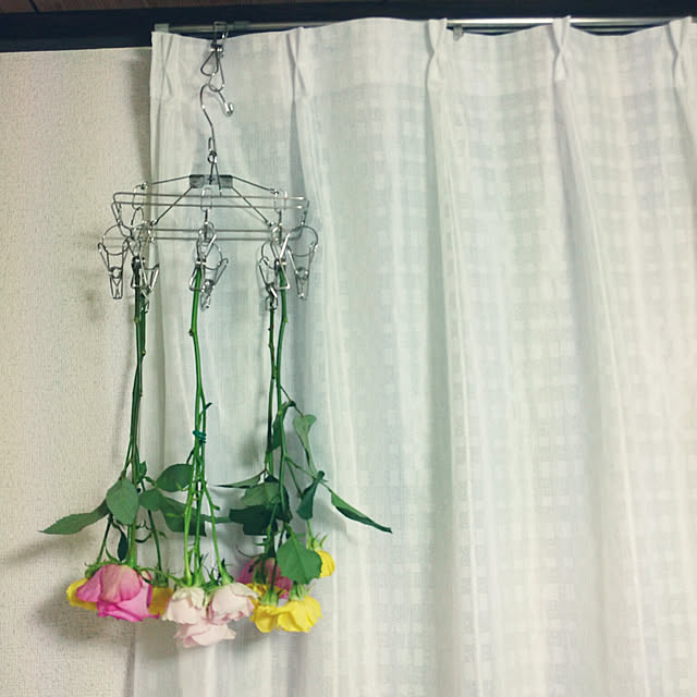 zunnchiさんの実例写真