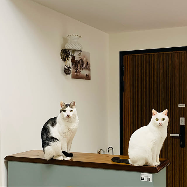 pcu110さんの実例写真