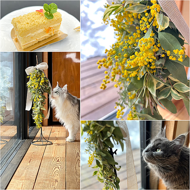 Kikko.さんの部屋