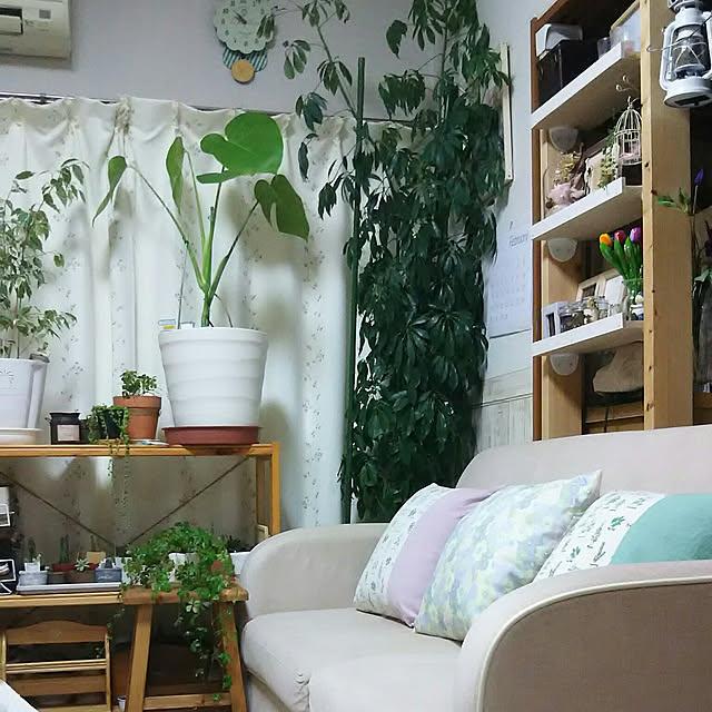 naopyiさんの実例写真