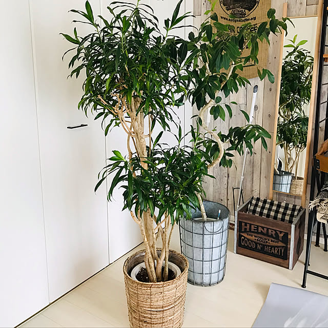 toukenさんの実例写真