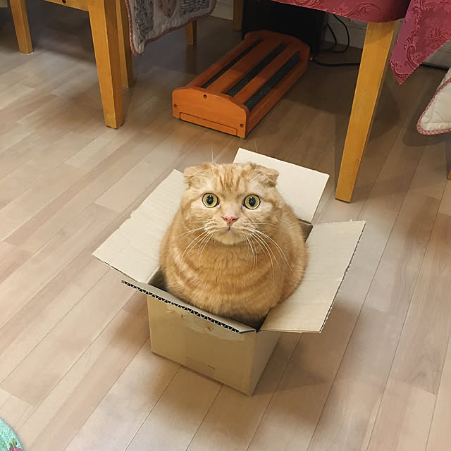 pinaminさんの実例写真