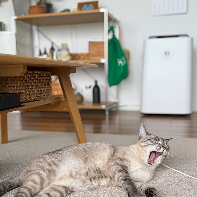 amさんの実例写真