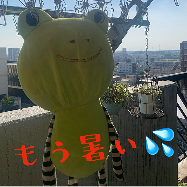 JUNさんの実例写真