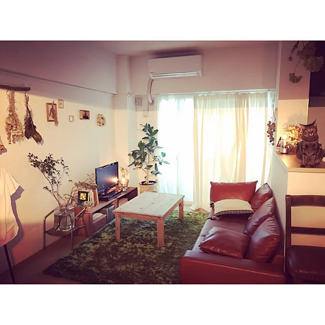 siokenpiさんの実例写真