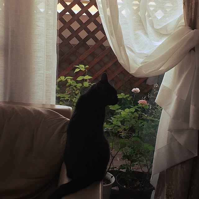 kimikaさんの実例写真