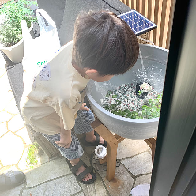 Minteaさんの部屋