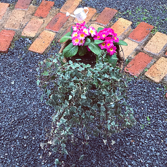 sunflowerさんの実例写真