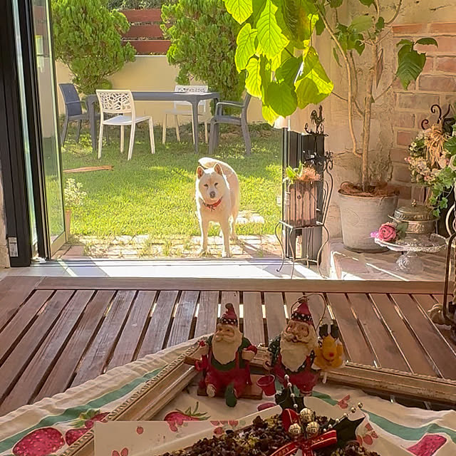 bu-bu-chanさんの部屋