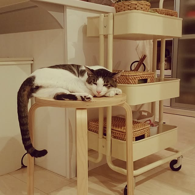 runayucoさんの実例写真