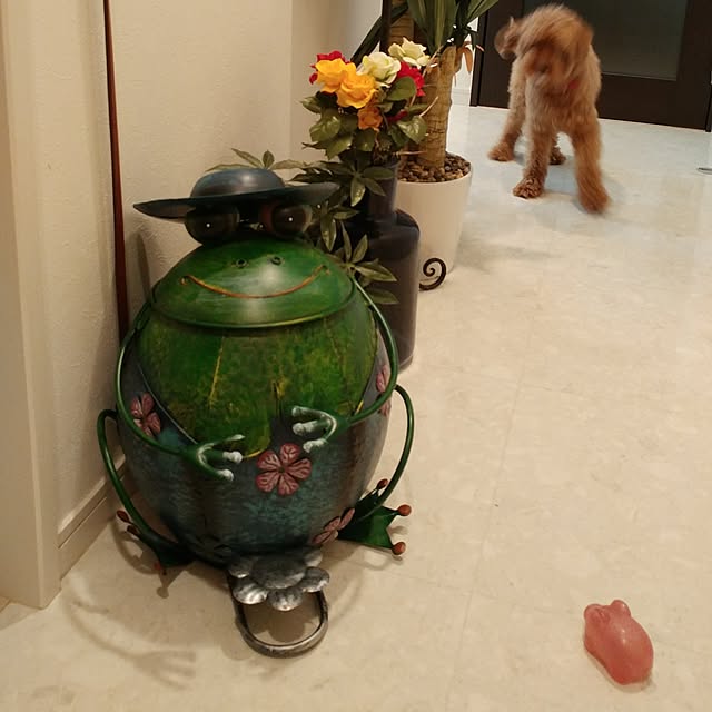実例写真