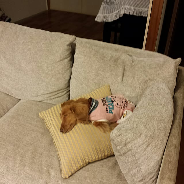 sumireさんの実例写真