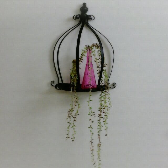 Yukanenkoさんの実例写真