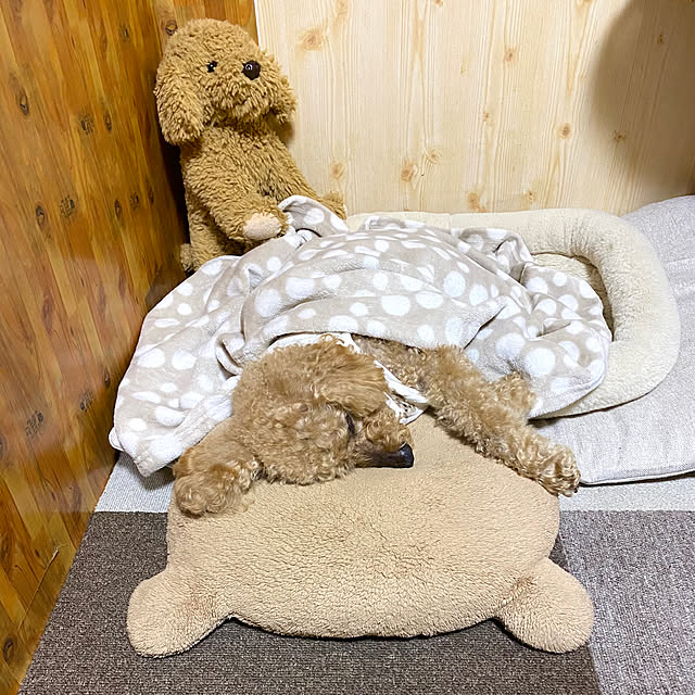 mさんの部屋