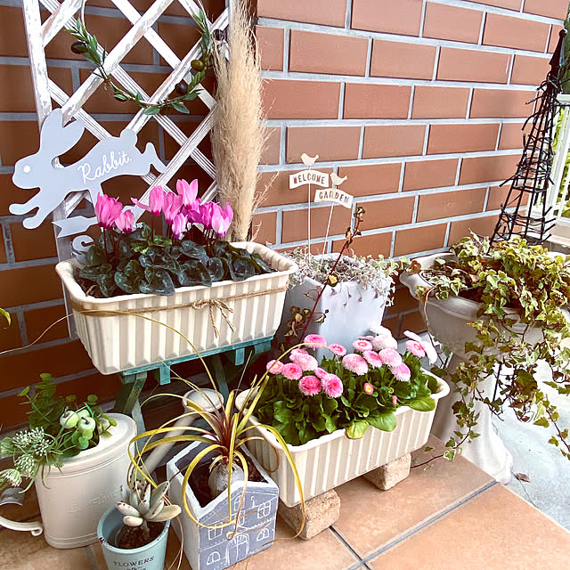 tihaさんの実例写真