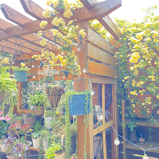 mintteaさんの部屋