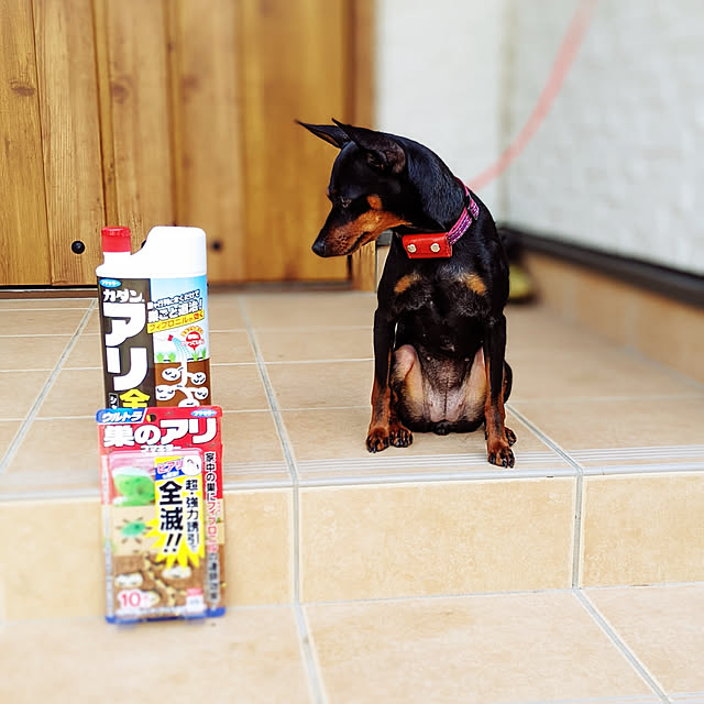 shizuponさんの実例写真