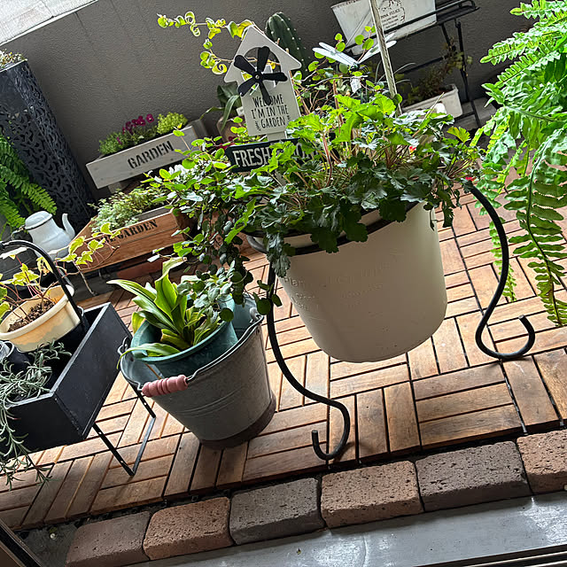 cagosukiさんの実例写真