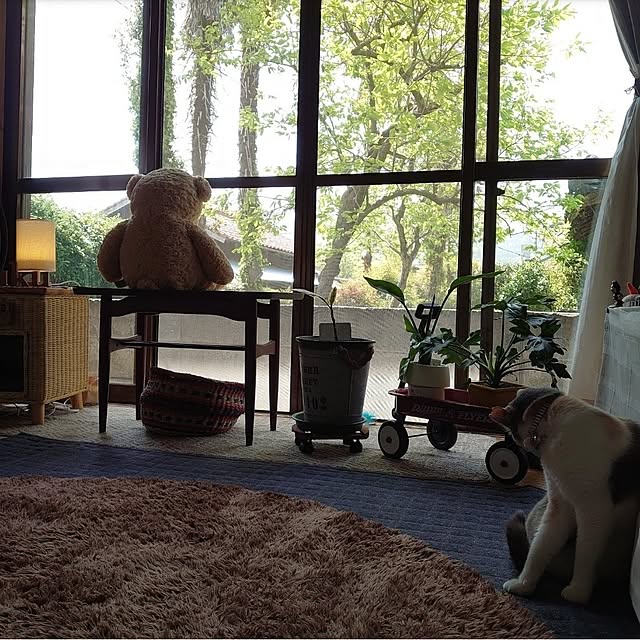 fukuさんの部屋