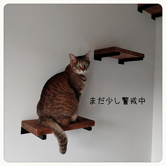 tammyさんの実例写真