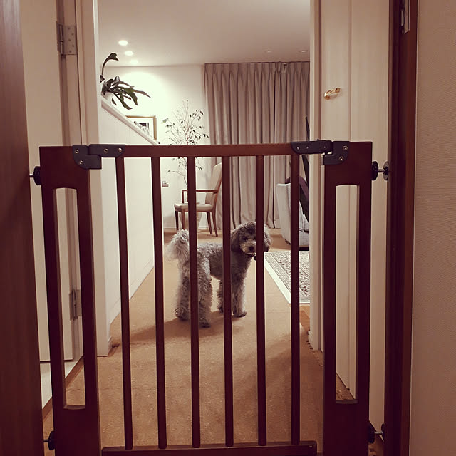 matthewさんの実例写真