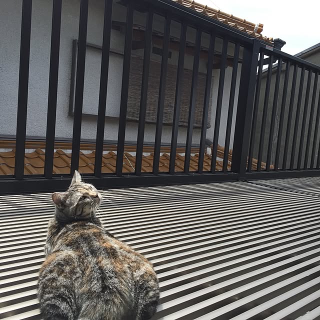 haruさんの実例写真
