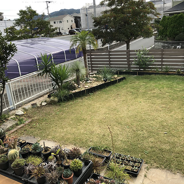 tawashiさんの実例写真