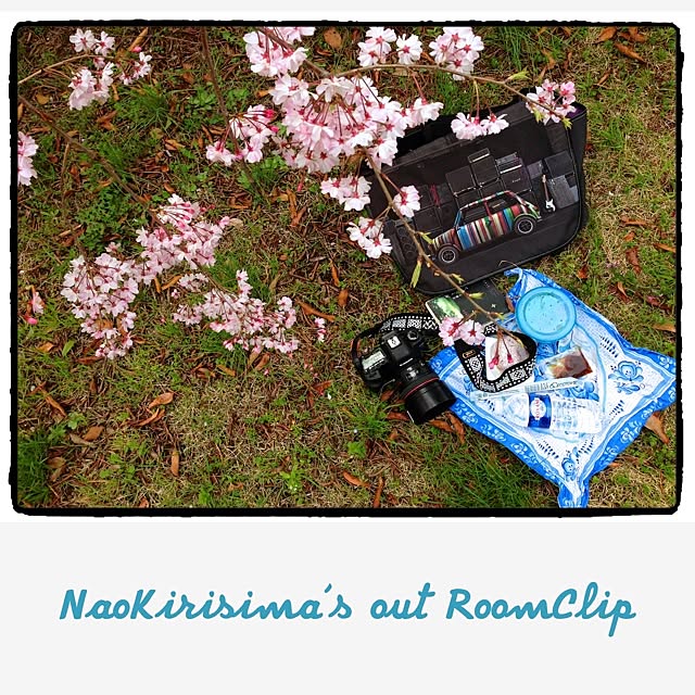 naokirisimaさんの実例写真