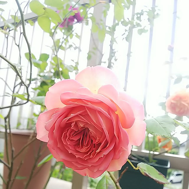 hiromimiさんの実例写真