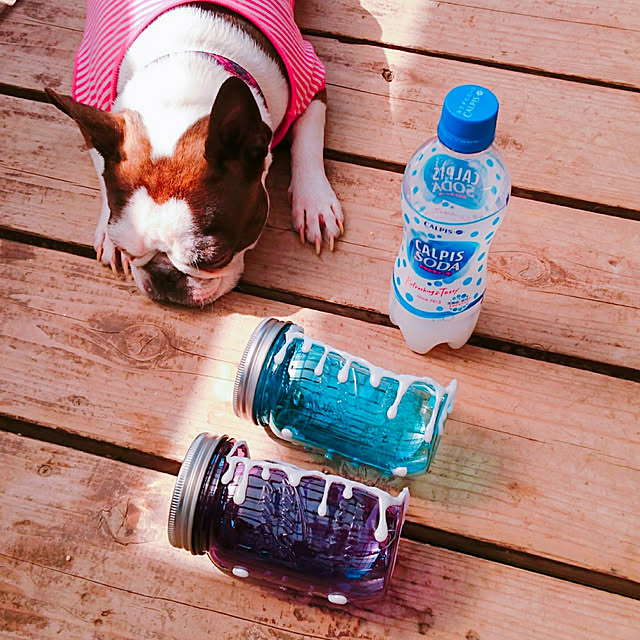 maiさんの実例写真