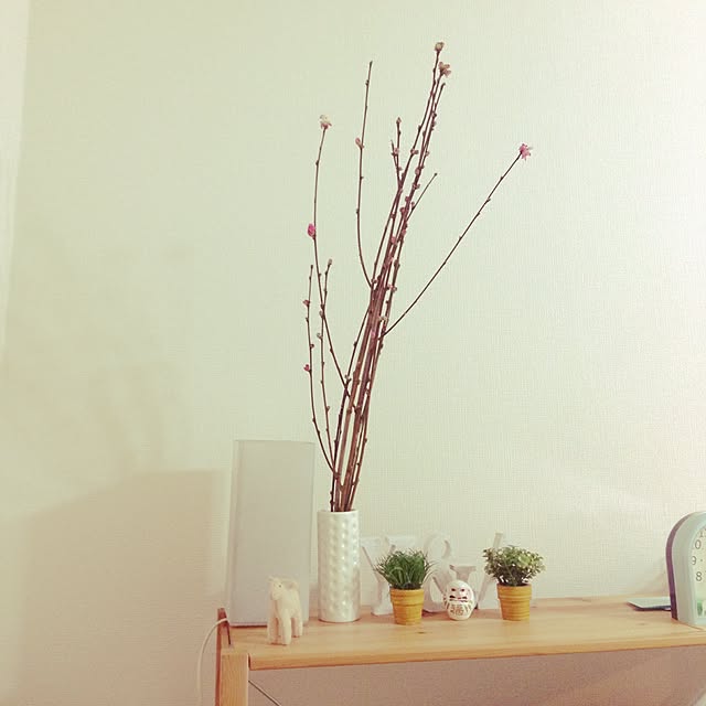 semasema.homeさんの実例写真