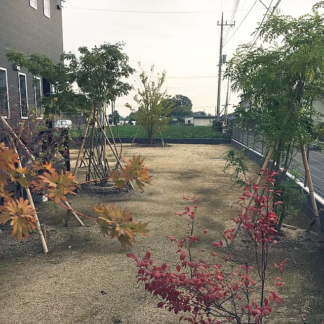 pandaさんの実例写真