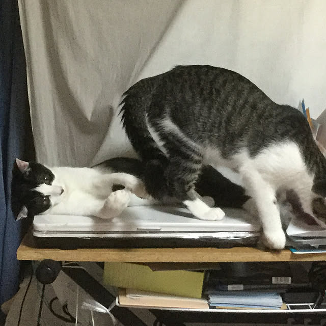Y.Saさんの実例写真