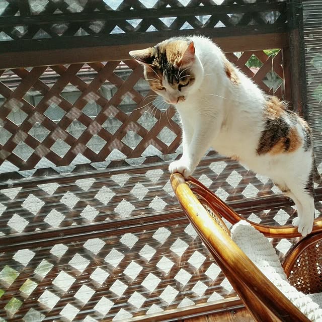 taleo07さんの実例写真