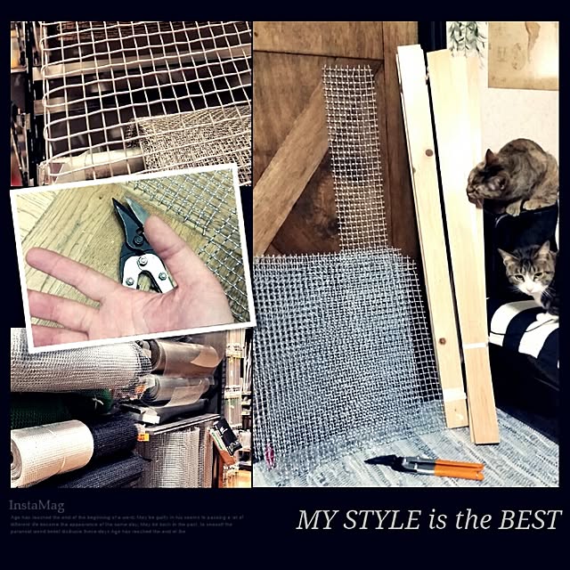 COAさんの実例写真