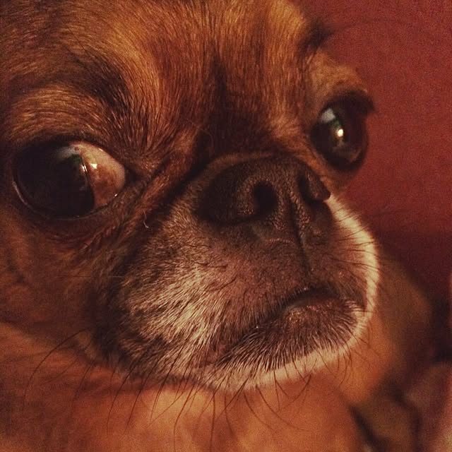 skipperさんの実例写真