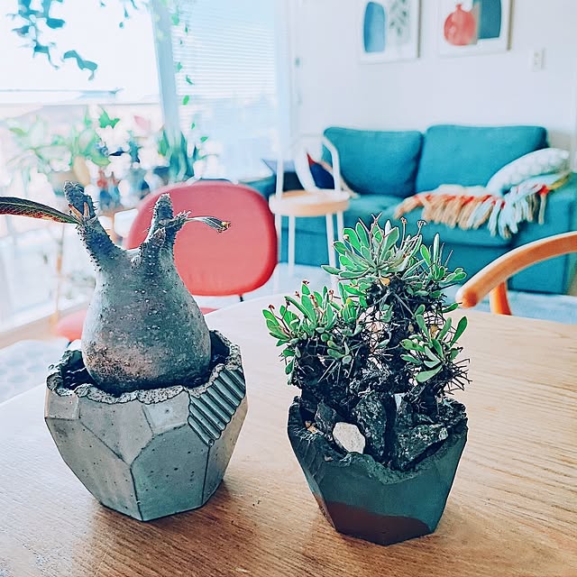 eさんの実例写真