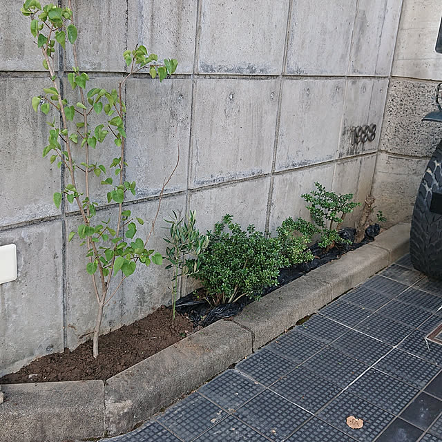 konさんの実例写真