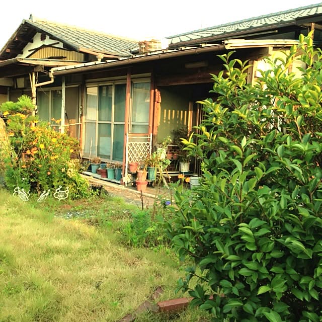 chiriさんの実例写真