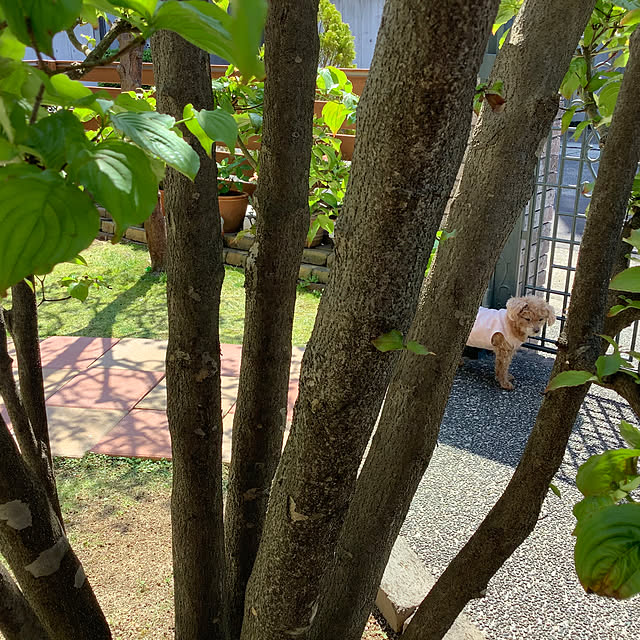 haruminさんの部屋