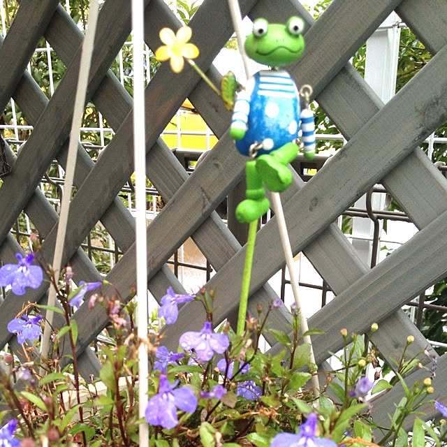 cocoさんの実例写真