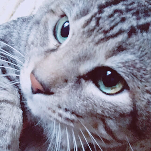 mimiishizawaさんの実例写真