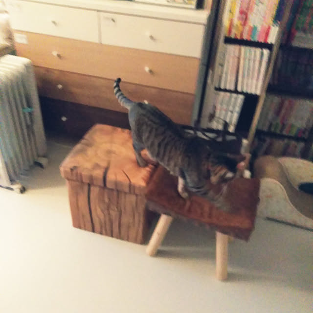 futukoさんの実例写真