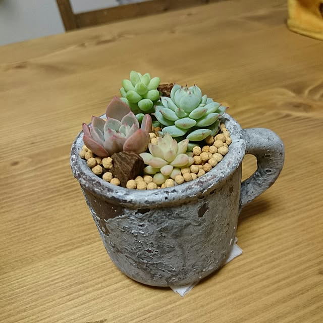 ririさんの実例写真
